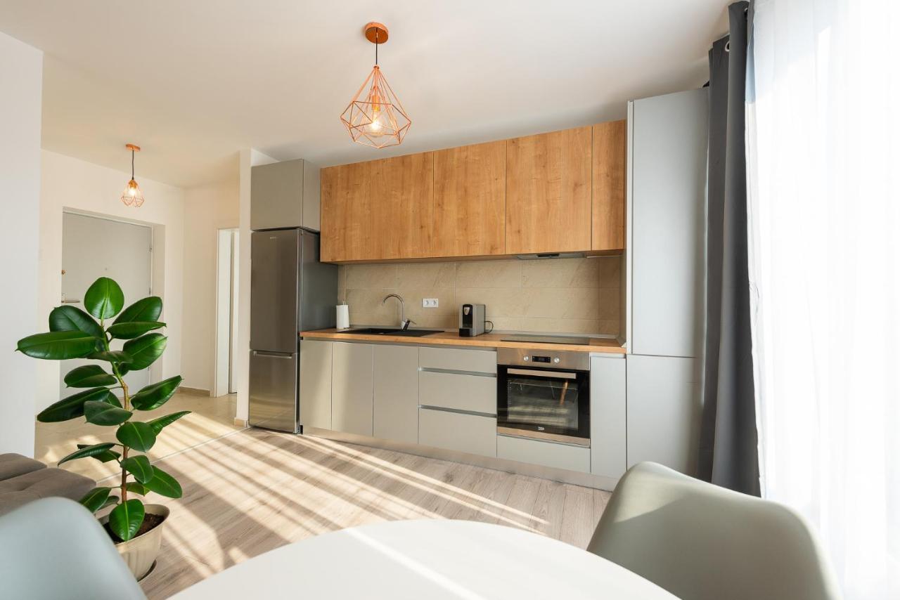 Art Apartment Târgu-Mureş Exteriér fotografie